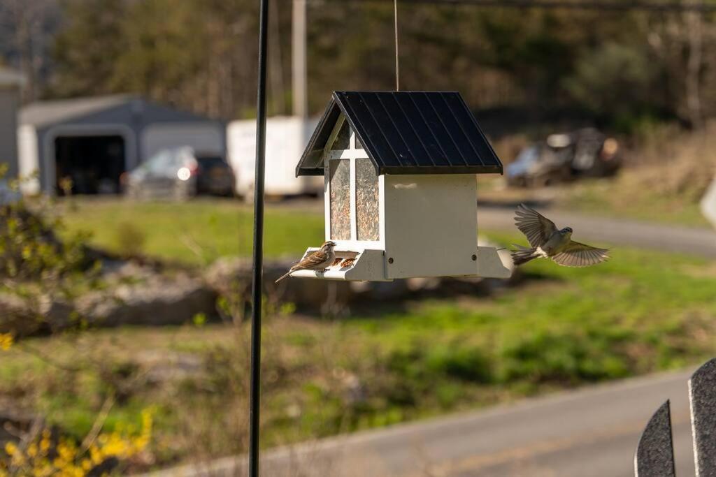 Cozy Cottage, Hot Tub, Fire Pit, 15Min To Hudson And Hiking Catskill Exterior photo